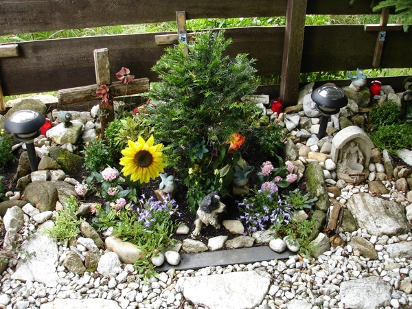 Fotografie von Cookies GraB im Haus