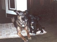 Cookie Tina aufgebessert.jpg