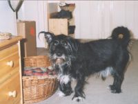 Cookie FebrFlur 2000.origial.JPG