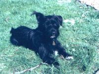 Cookie kleinMaiWiese89.JPG