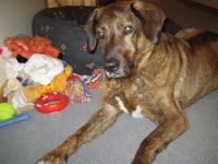 D 21.3.04.2 süß.jpg