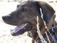 D 31.3.04.7 schön.jpg