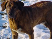 D 20.2.04.9schön.jpg