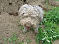 M 13.6.2011 (30).jpg