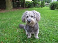 M 23.8.2010 (8) süß.jpg