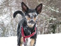 T 3.1.2011 (10) süß.jpg