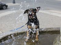 T 22.4.2012 (15).jpg