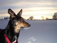 T 28.12.2010 schön.JPG