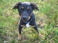 T 31.10.04.3 süß.jpg