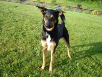 T 28.5.09 (7) schön.jpg