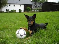 T 3.7.07.2 schön.JPG