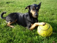 T 28.5.09 schön.jpg