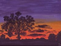 Baum im Sonnenuntergang