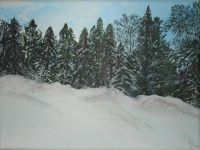 Schnee in Reichenbach