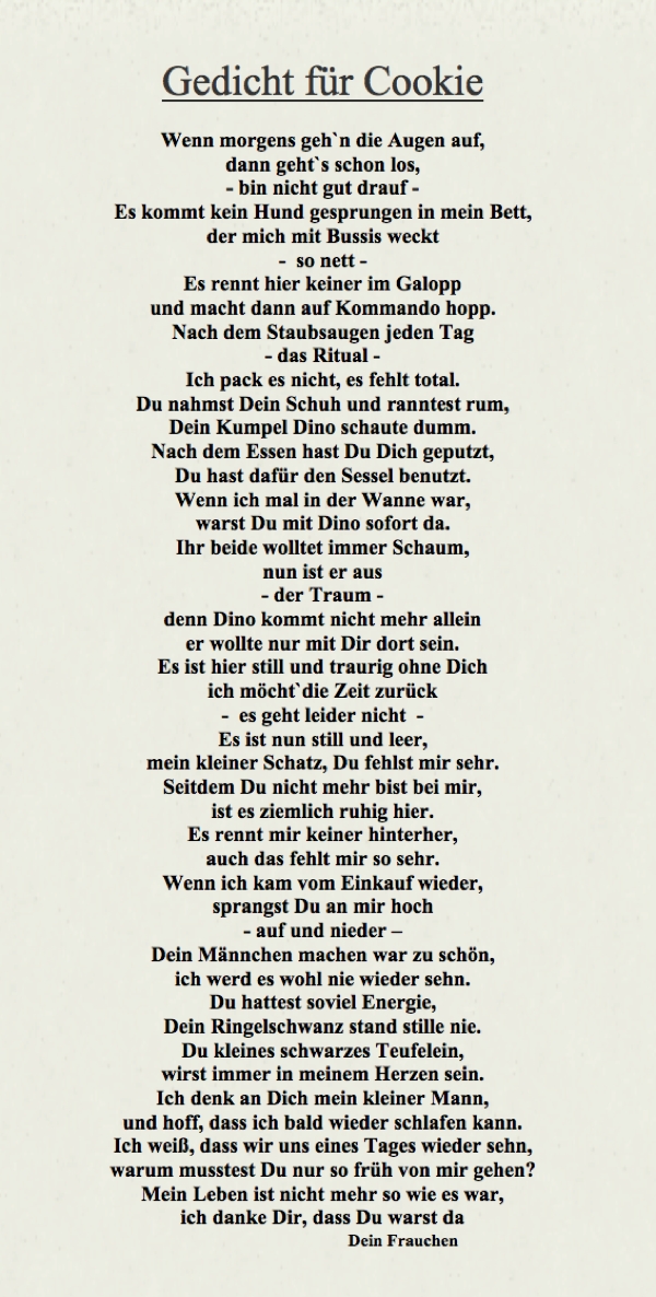 Fotografie von Cookies Gedicht