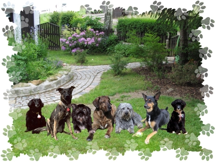 Zauberkunst aus Berlin