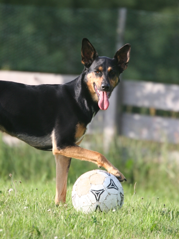 Taya und Ball Brennende Kerze