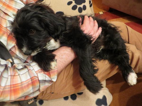 Madeleine und Toni vor einer kleinen Brücke